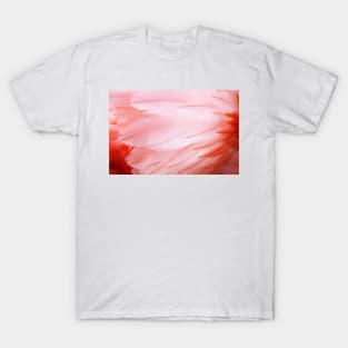 Flamingo Feathers T-Shirt